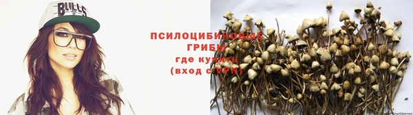 ешки Магас