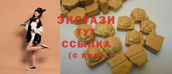 гашик Майский