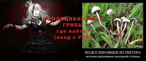 бошки Артём