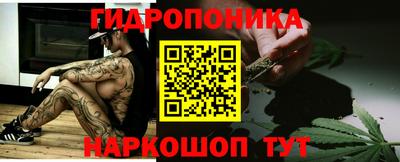 крисы Гусев