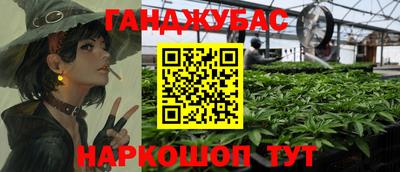 крисы Гусев