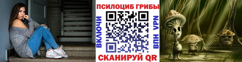 Псилоцибиновые грибы Cubensis  Тара 