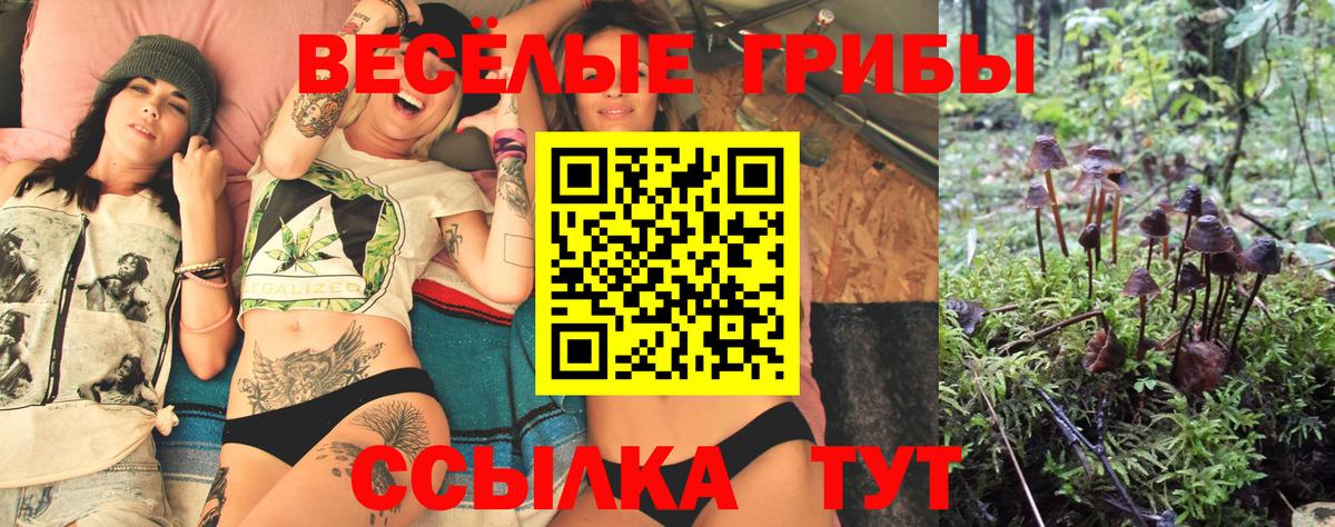 Псилоцибиновые грибы GOLDEN TEACHER Тара
