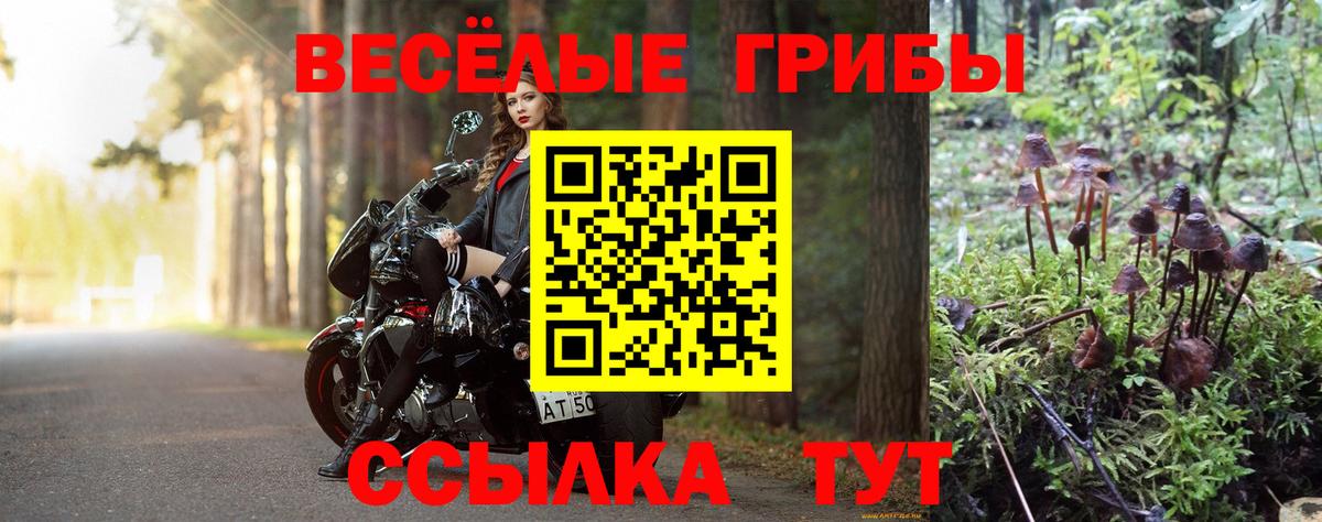 Галлюциногенные грибы прущие грибы  Вход с VPN  Тара 