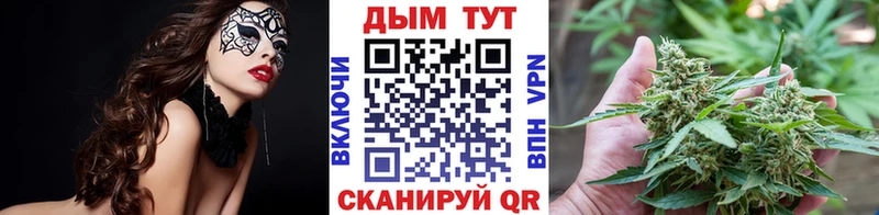 Каннабис сатива  хочу   darknet какой сайт  Тара 