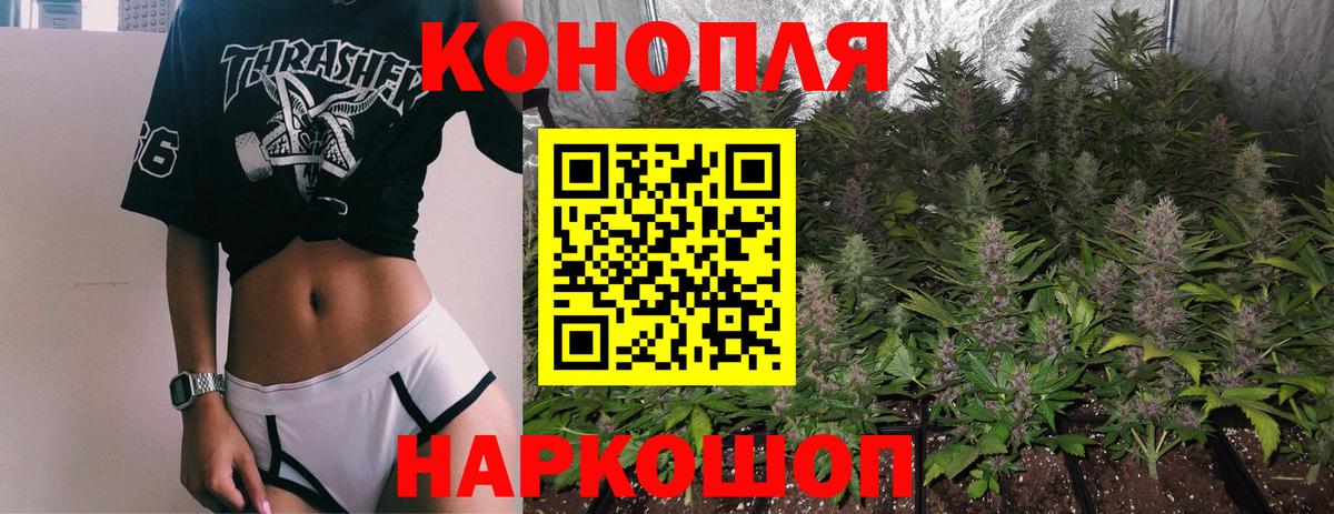 Каннабис OG Kush  Марихуана OG Kush  Конопля индика  Марихуана THC 21%  Тара 