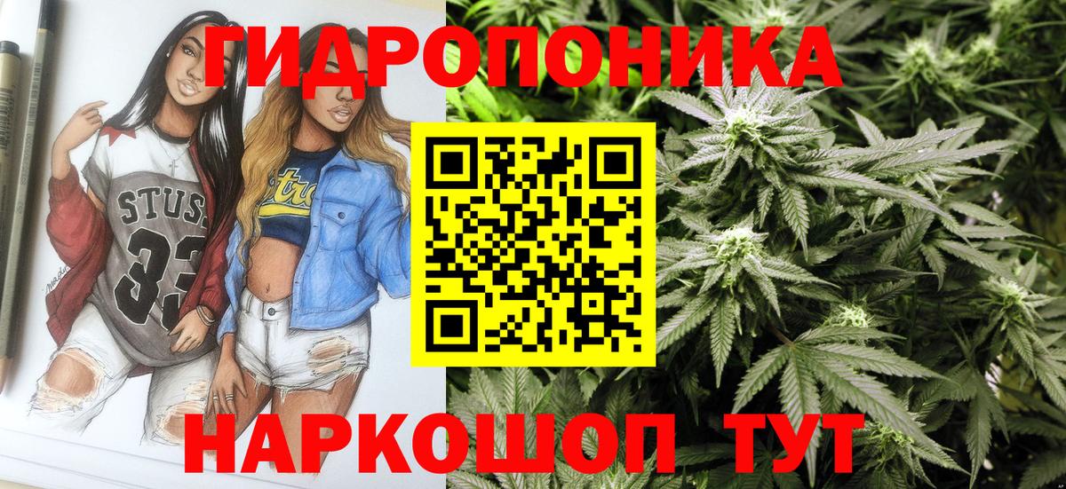 Бошки Шишки гибрид  Бошки марихуана VHQ  Канабис Bruce Banner  Конопля ГИДРОПОН  Тара  Вход с VPN 
